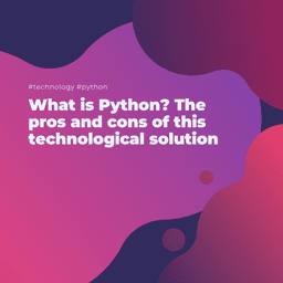 What is Python? The pros and cons of this technological solution