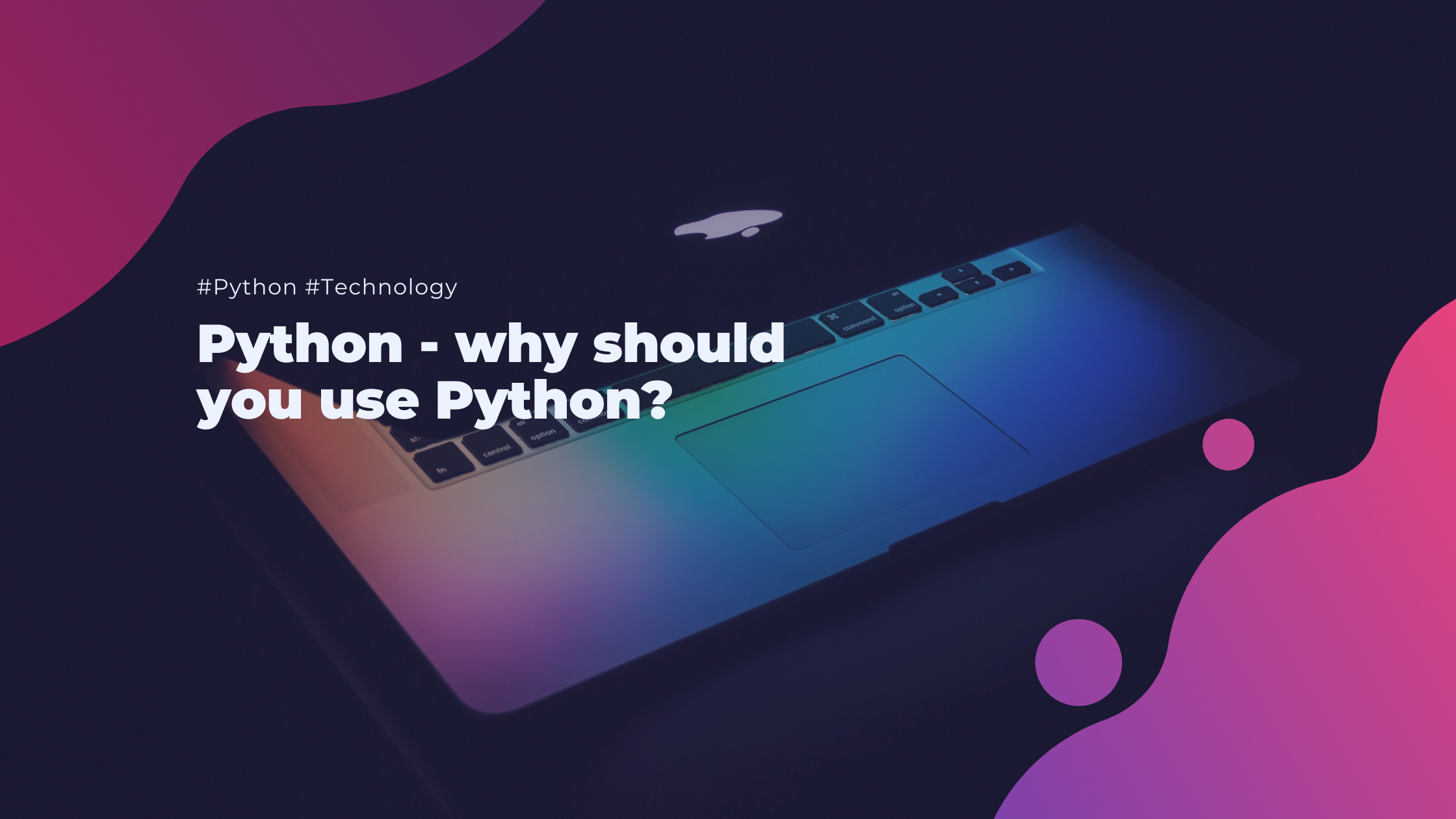 Python - why should you use Python?