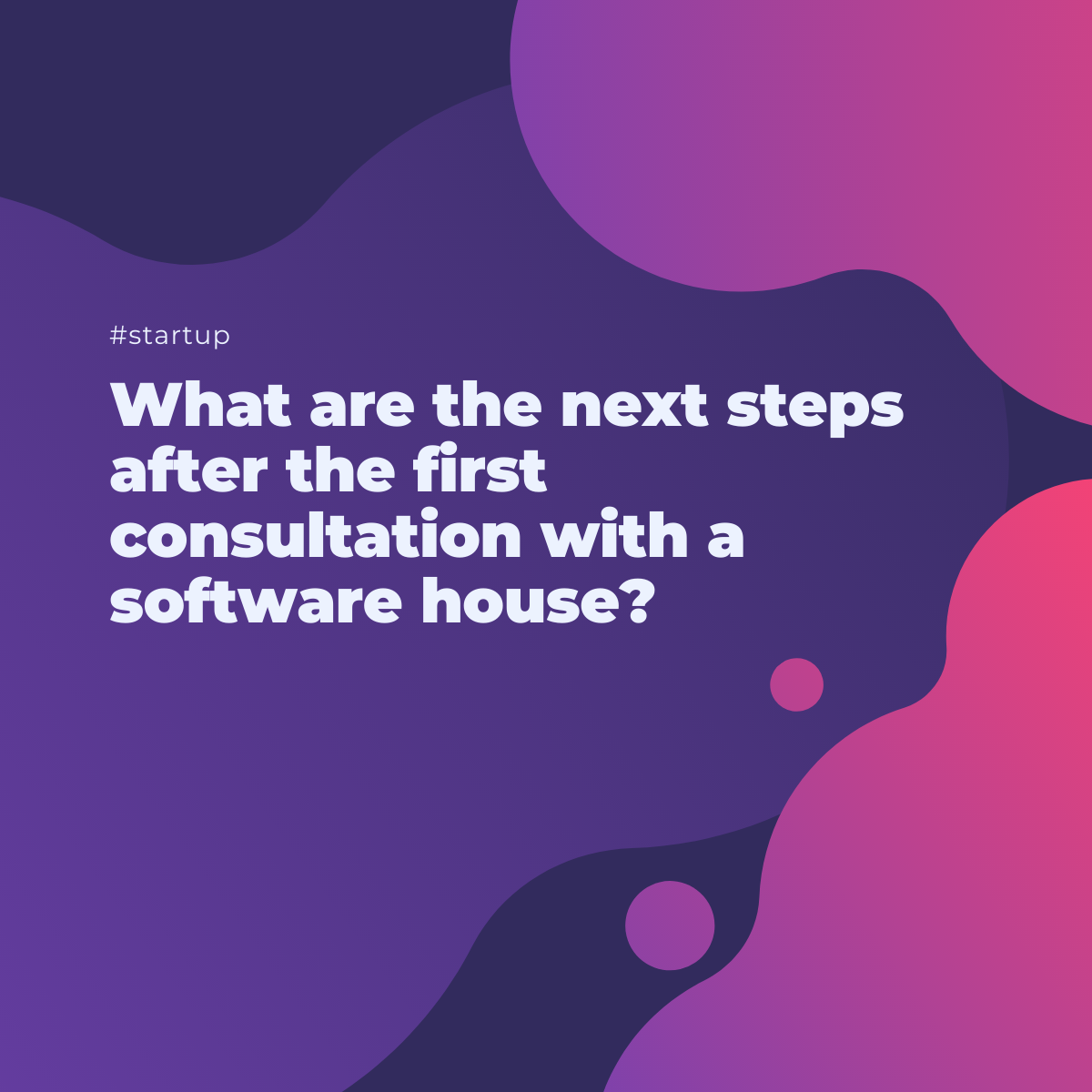 What are the next steps after the first consultation with a software house?