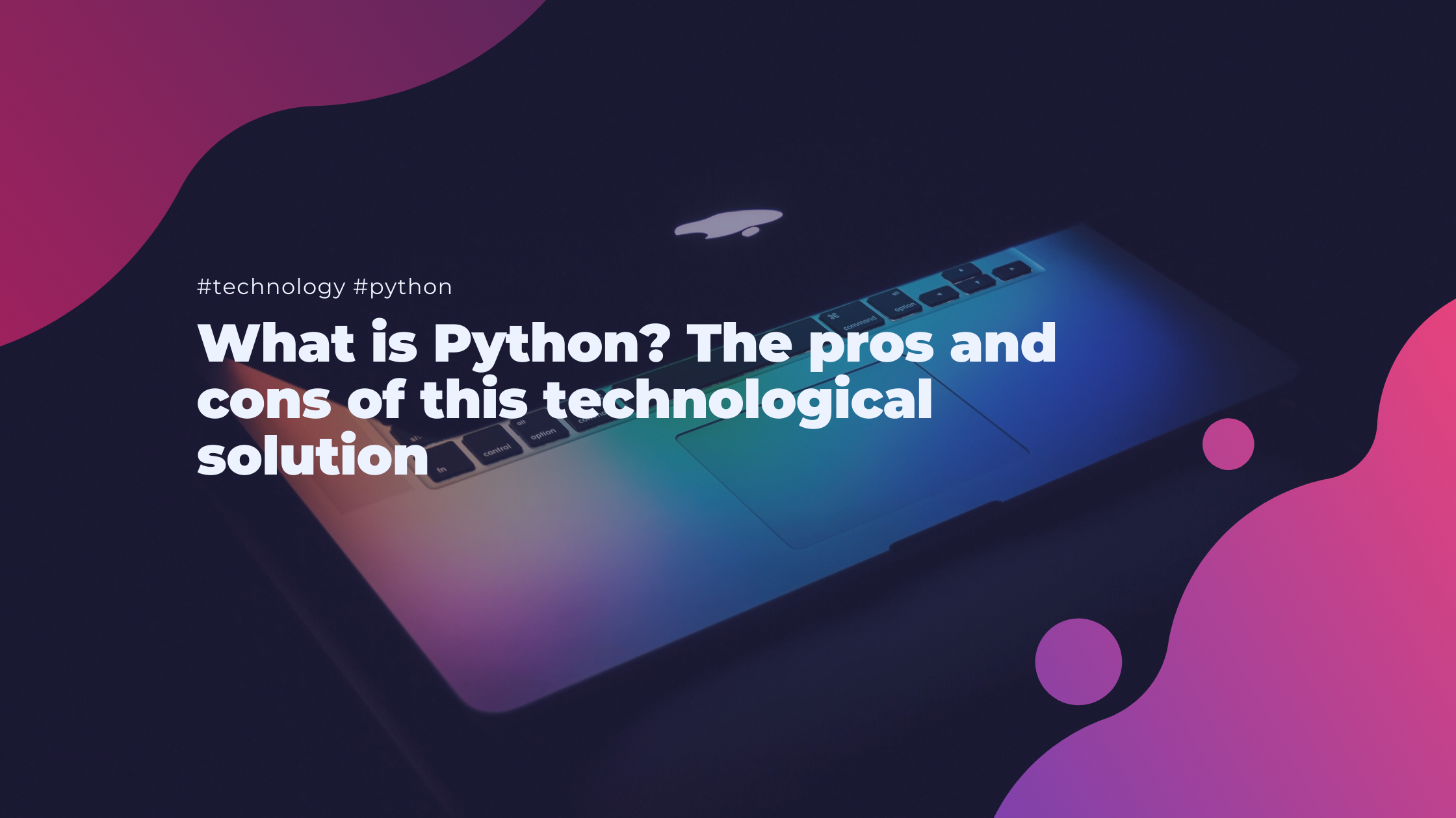 What is Python? The pros and cons of this technological solution