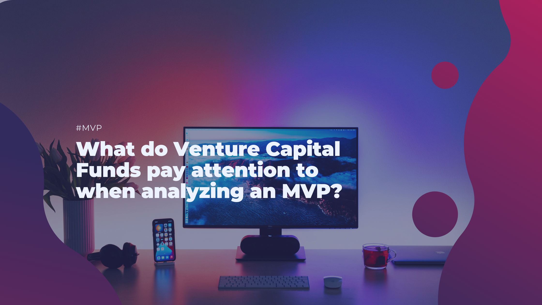 What do Venture Capital Funds pay attention to when analyzing an MVP?